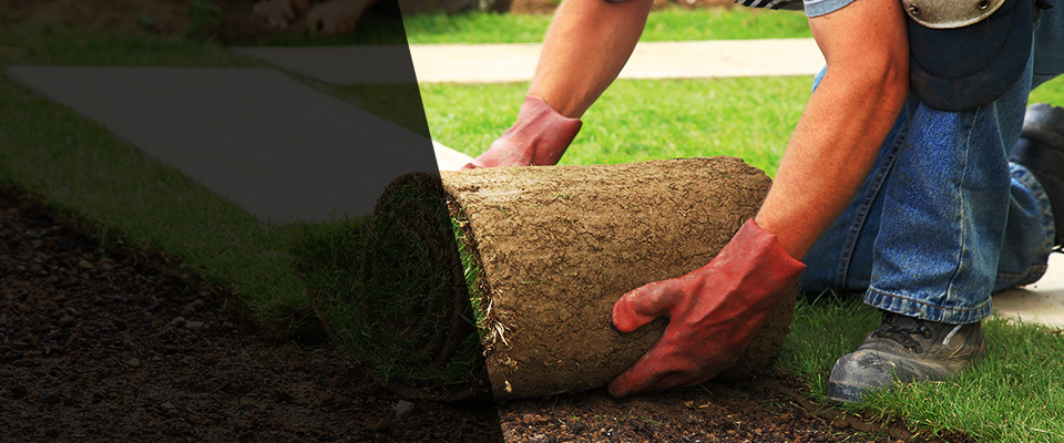 Honeoye Falls Landscapers